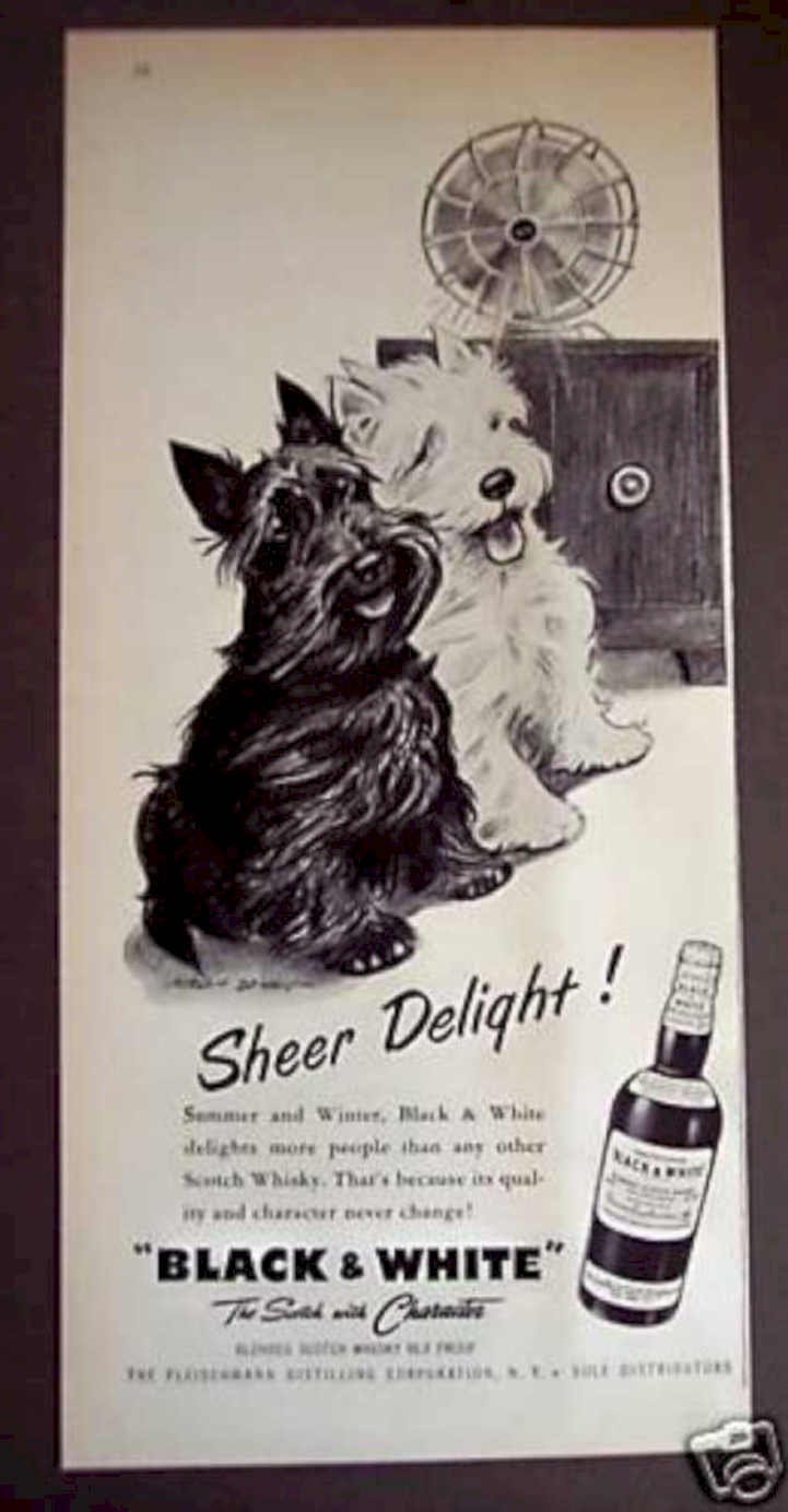 Scotch Terriers Delight Vintage Retro Advert Ads A4 Photo Print
