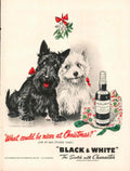 Scotch Terriers Mistletoe 1940s Vintage Retro Advert Poster