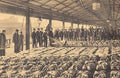 Scotland Aberdeen Fish Market Vintage A4 Photo Print