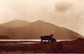 Scotland Argyllshire Head Of Loch Long Vintage A4 Photo Print