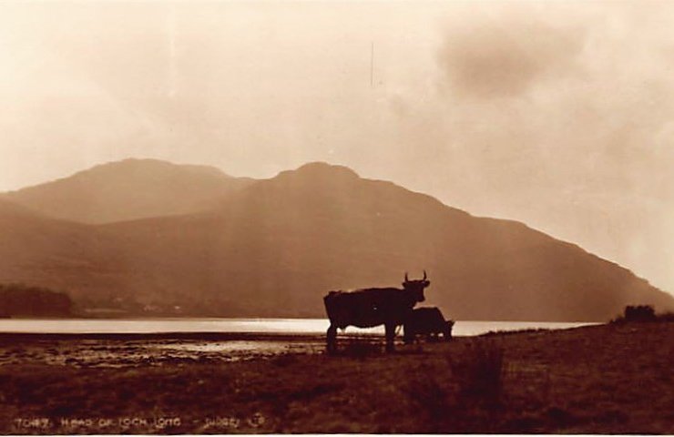 Scotland Argyllshire Head Of Loch Long Vintage A4 Photo Print
