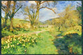 Scotland UK 231067 Spring Daffodils, Borders, Peebles A4 Limited Edition Watercolour Print