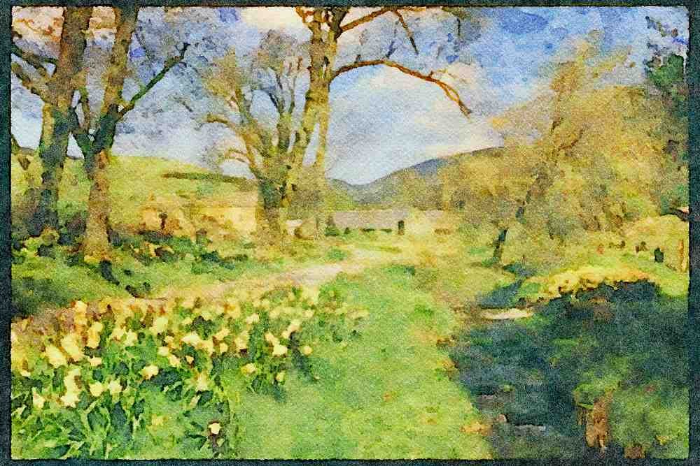Scotland UK 231067 Spring Daffodils, Borders, Peebles A4 Limited Edition Watercolour Print