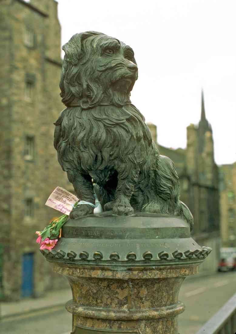 Scotland UK GB 092020 Edinburgh Greyfriars Bobby A4 Photo Print