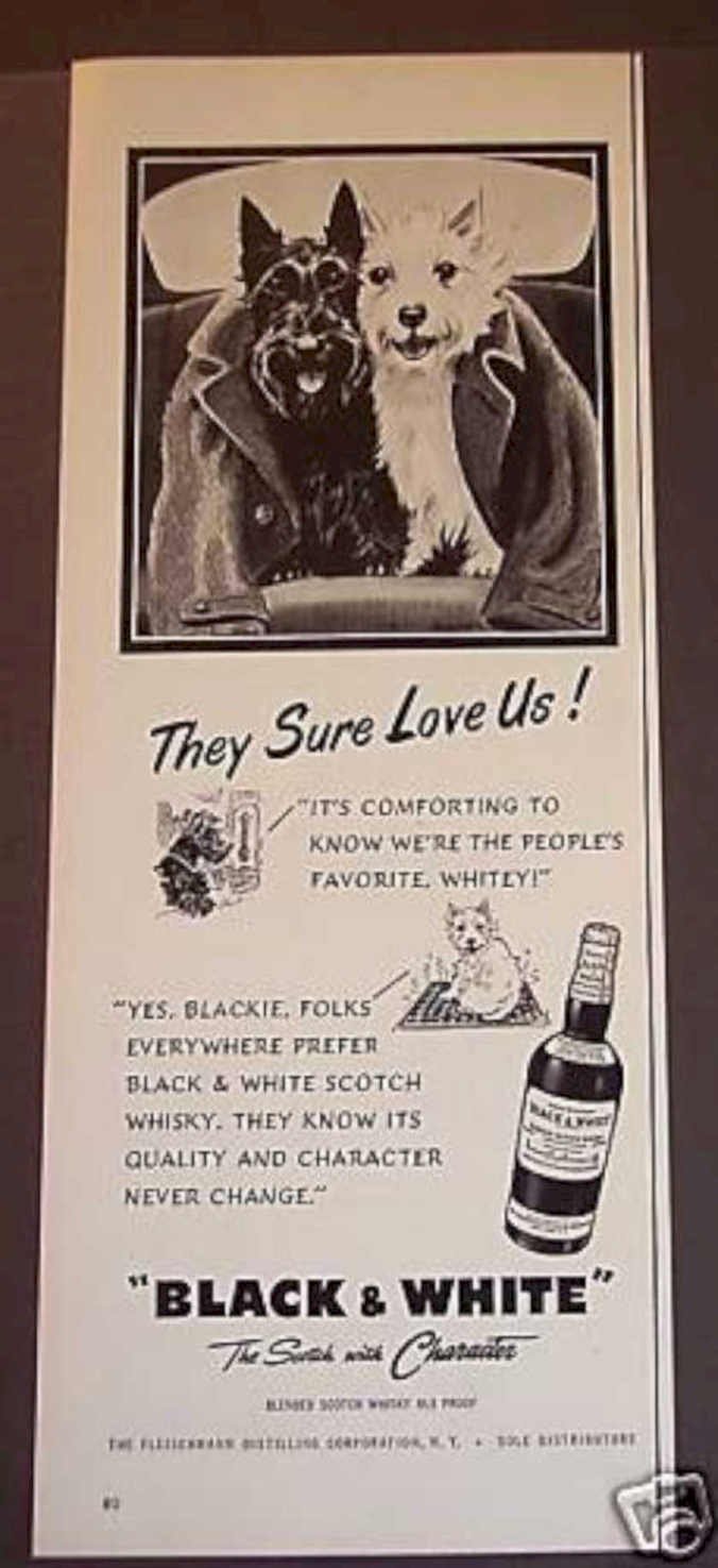 Scottish Terrier Whisky Vintage Retro Advert Ads A4 Photo Print
