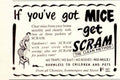 Scram Mice Poison 1940s Vintage Retro Advert Poster