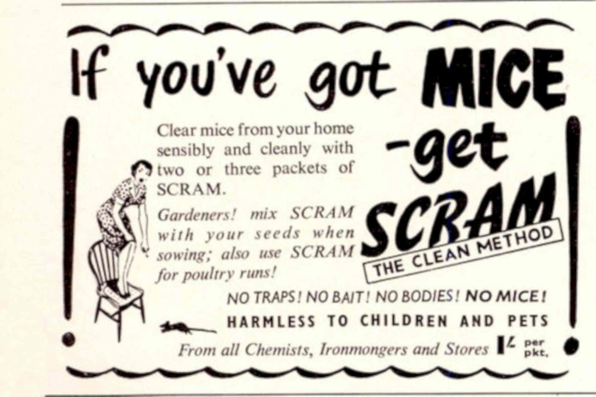 Scram Mice Poison 1940s Vintage Retro Advert Poster