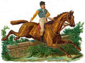 Scrap 3 Horse 001 Vintage A4 Photo Print
