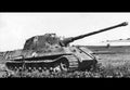 Sdkfz 182 Panzer Vib King Tiger Heavy Tank Germany 11 A4 Photo Print