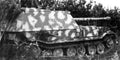 Sdkfz 184 Ferdinand Elefant 5 A4 Photo Print