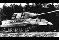 Sdkfz 186 Jagdtiger Tank Destroyer Self Propelled Gun Germany 10 A4 Photo Print