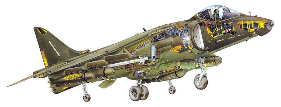 Sea Harrier cutaway A4 Photo Print