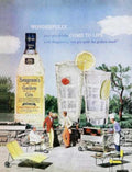 Seagrams Gin Drinks Vintage Retro Advert Ads A4 Photo Print
