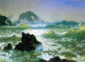 Seal Rock 2 Bierstadt A4 Photo Print