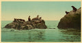 Seal Rocks Vintage A4 Photo Print