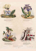 Seasons Of Life 1850 Vintage Cartoon Joke A4 Photo Print