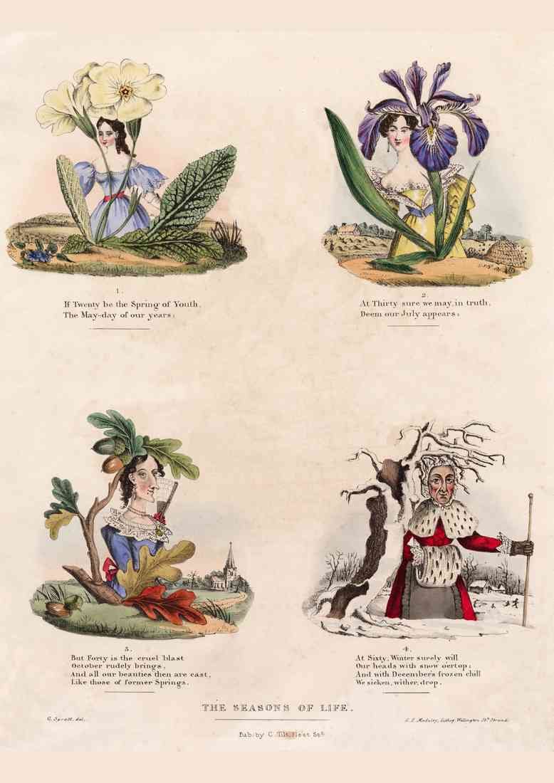 Seasons Of Life 1850 Vintage Cartoon Joke A4 Photo Print