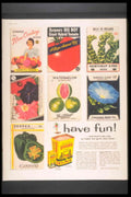 Seed Packets Vintage 1950s Vintage Retro Advert Poster