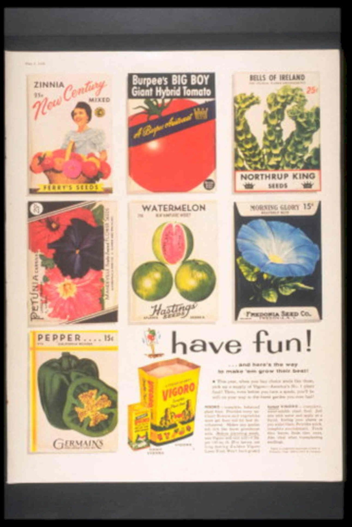 Seed Packets Vintage 1950s Vintage Retro Advert Poster