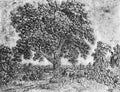 Seghers Hercules The Great Tree A4 Photo Print