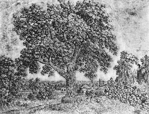 Seghers Hercules The Great Tree A4 Photo Print