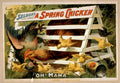 Seldons Spring Chicken Vintage Retro Advert Poster A4 Photo Print