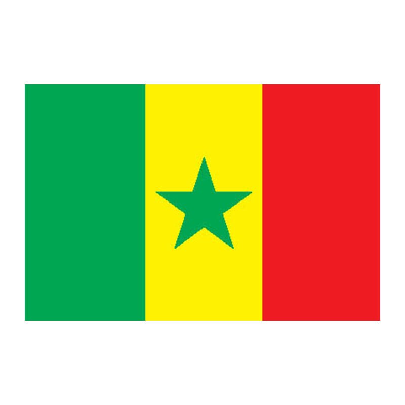 Senegal Flag N1788 A4 Photo Print