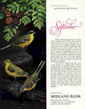 September Wagtails Butterflies Vintage Retro Advert Poster A4 Photo Print