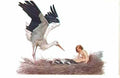 Sergey Solomko blessed be the house where a stork nested 1917 Art A4 Photo Print