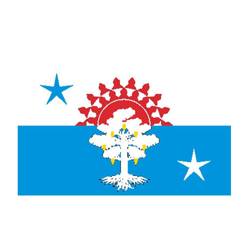 Serov City Flag N5393 A4 Photo Print