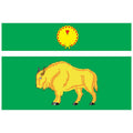 Serpukhov Rayon Flag N2572 A4 Photo Print