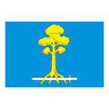 Sertolovo City Flag N6301 A4 Photo Print