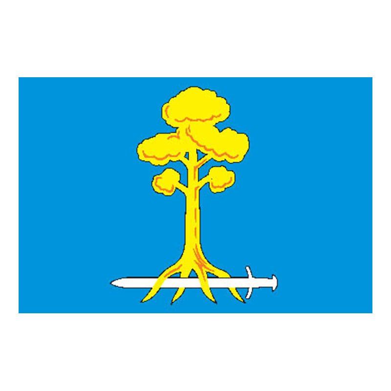 Sertolovo City Flag N6301 A4 Photo Print