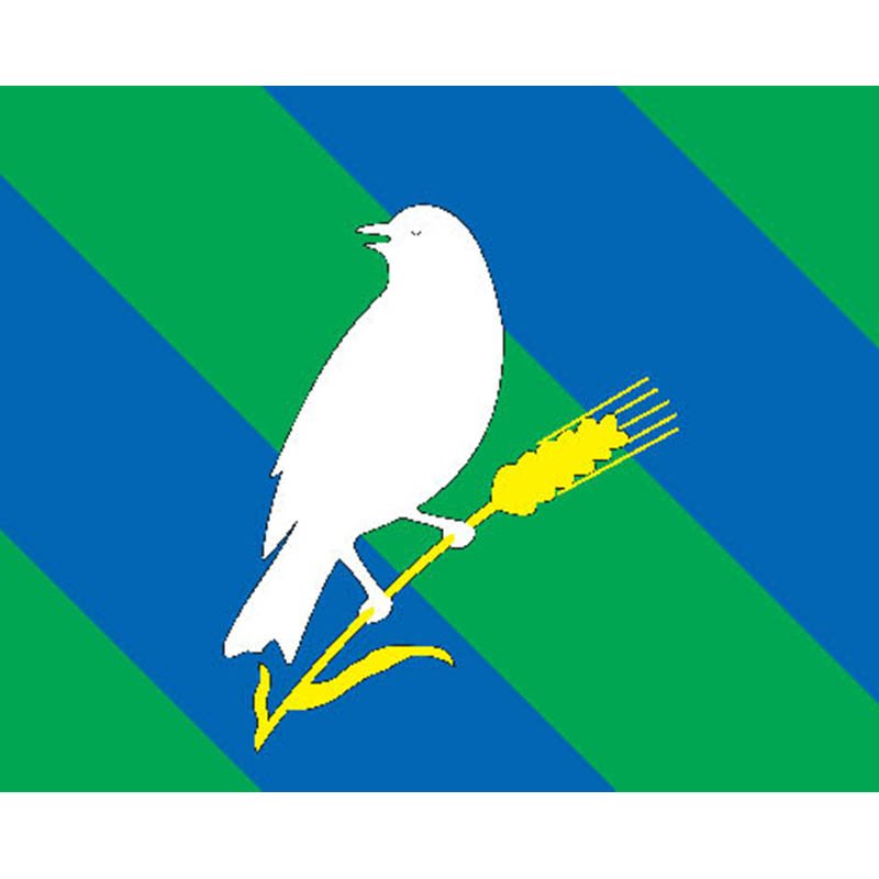 Sevmedvedkovo Mos Flag N3058 A4 Photo Print