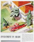 Shade Truck Tree Vintage Retro Advert Ads A4 Photo Print