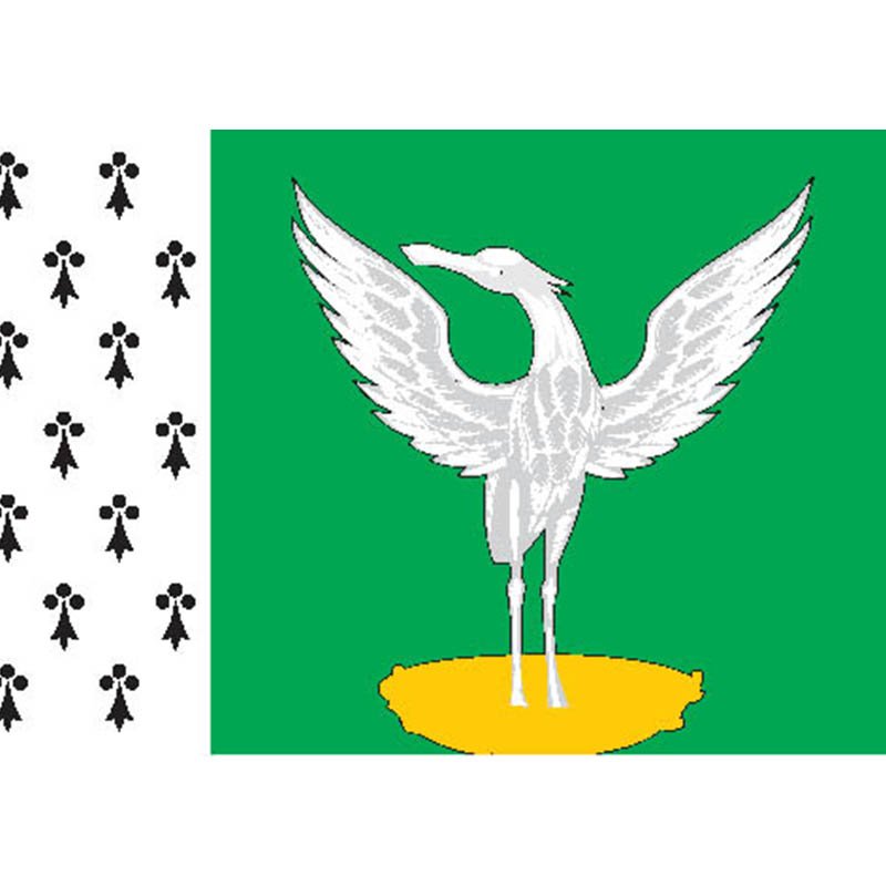 Shakhovskoe Rayon Flag N2567 A4 Photo Print