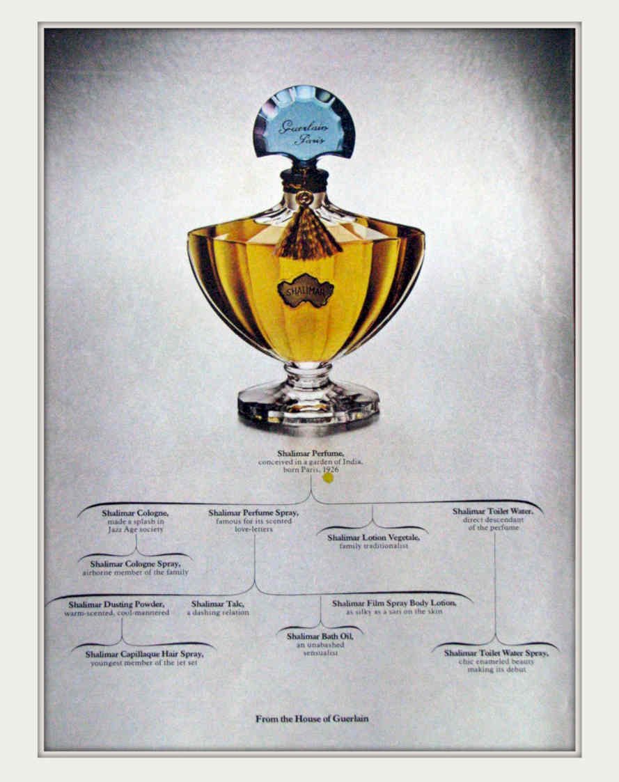 Shalimar Perfume Cup Vintage Retro Advert Poster A4 Photo Print