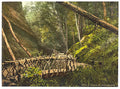 Shanklin the bridge Isle of Wight Vintage A4 Photo Print