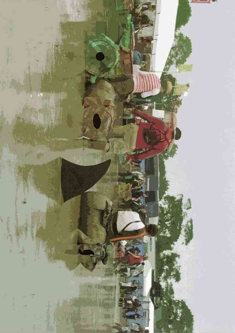Shark Glastonbury POSTERIZE A4 Photo Print