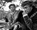 Shaw Robert A Man for All Seasons 1 film star poster A4 Photo Print