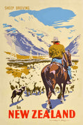 Sheep Driving Newzealand Vintage Retro Advert Poster A4 Photo Print