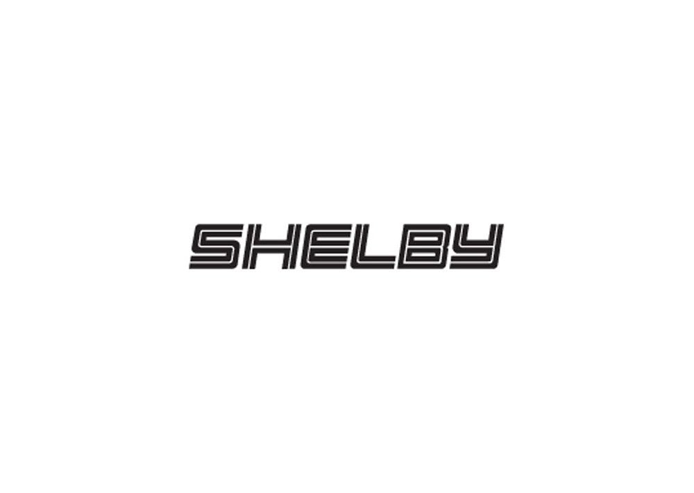 Shelby2 A4 Photo Print