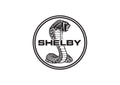 Shelby3 A4 Photo Print