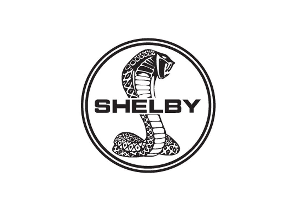 Shelby3 A4 Photo Print