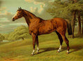 Sheldon Williams Alfred 1880 Stilton A Hunter A4 Photo Print
