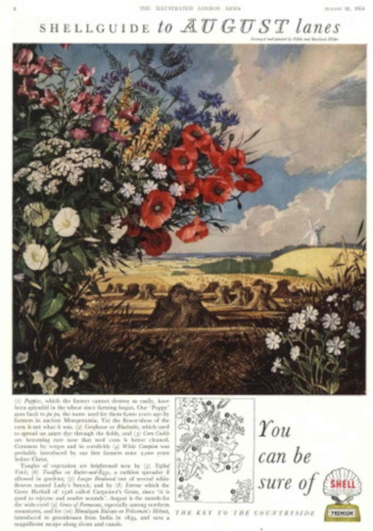 Shell Wheat Poppies 1950s Vintage Retro Advert Poster