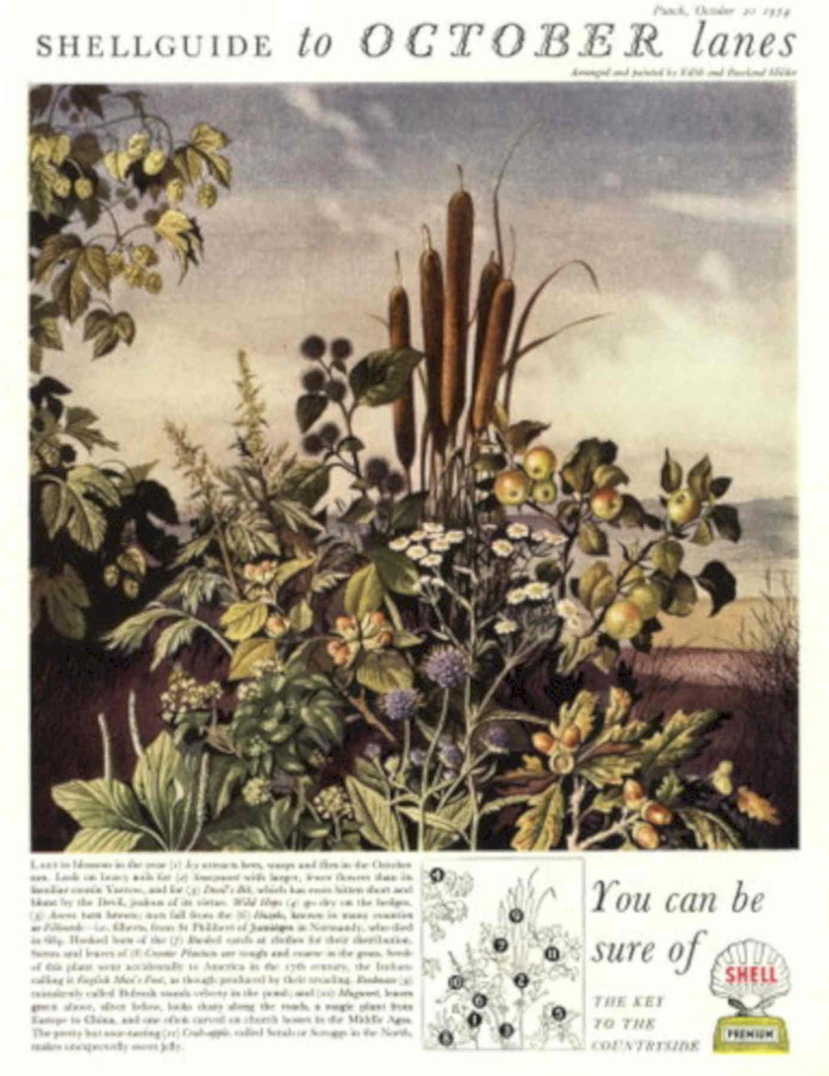 Shellguide October Lanes 1950s Vintage Retro Advert Poster