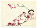Shibata Zeshin red maple hana kurabe 1878 Art A4 Photo Print