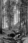 Shishkin Ivan Stream by a Forest Slope A4 Photo Print