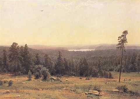 Shishkin Ivan The Forest Horizons 1884 A4 Photo Print